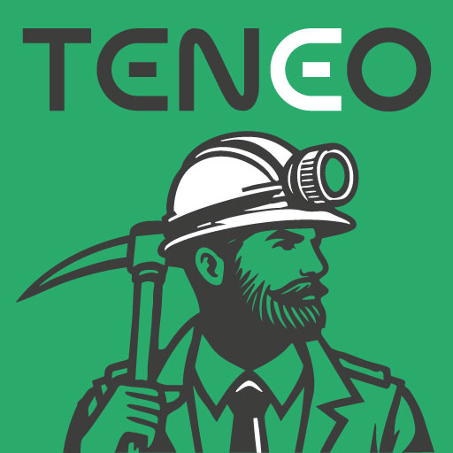 favicon teneo